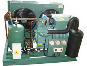 比澤爾蒸發(fā)冷螺桿低溫速凍