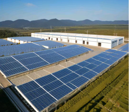 冷庫使用光伏發(fā)電：綠色能源的新選擇