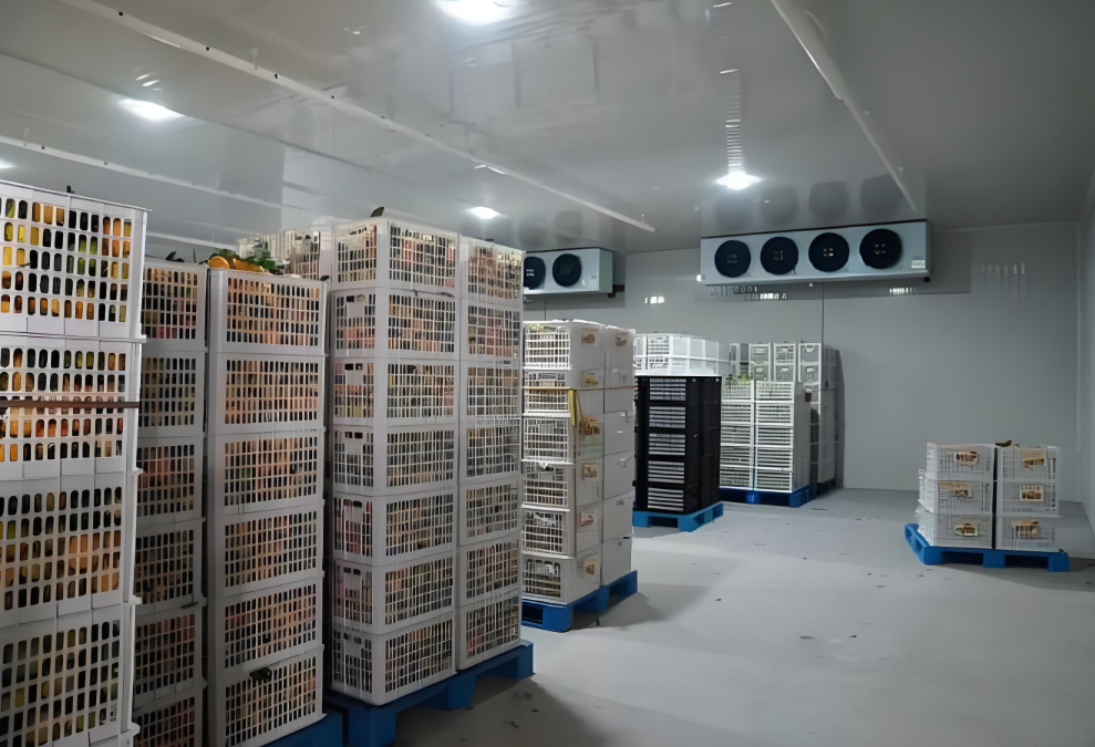 冷庫中貨物堆碼高度有限制嗎，依據(jù)是什么？